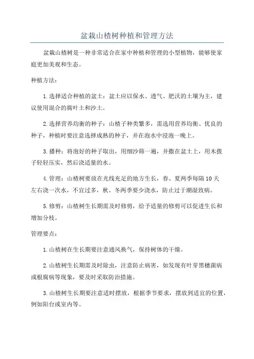盆栽山楂树种植和管理方法