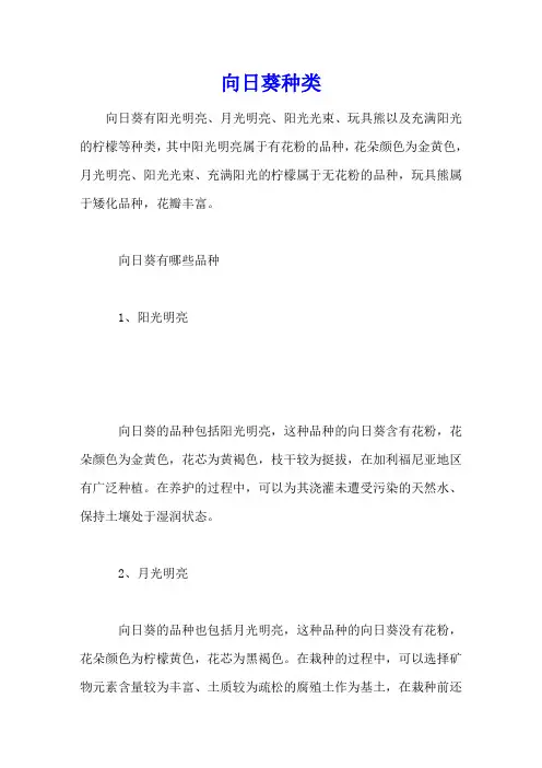 向日葵种类