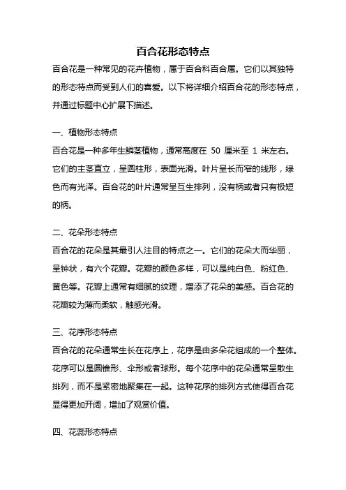 百合花形态特点