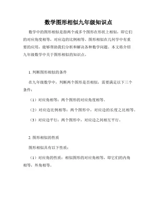 数学图形相似九年级知识点