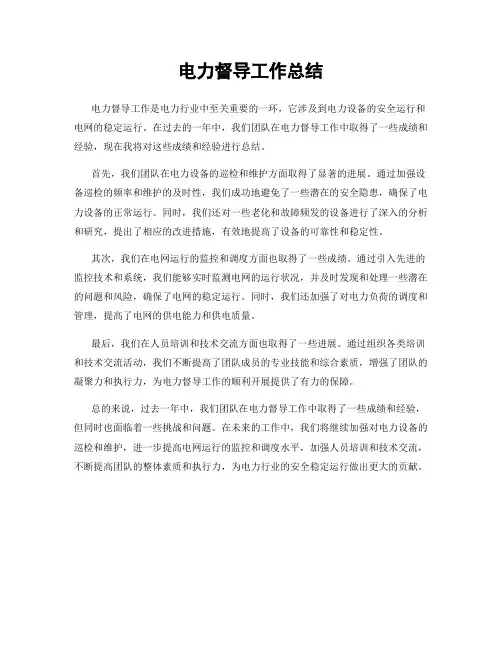 电力督导工作总结