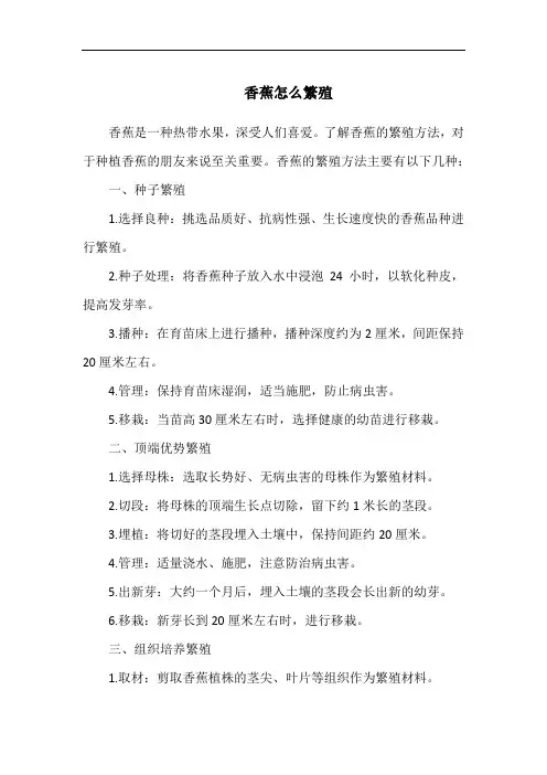 香蕉怎么繁殖