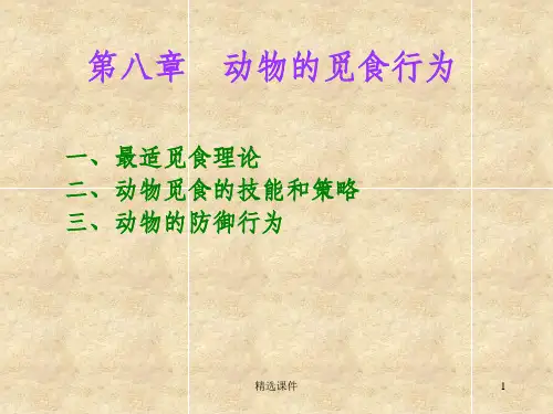 动物觅食行为