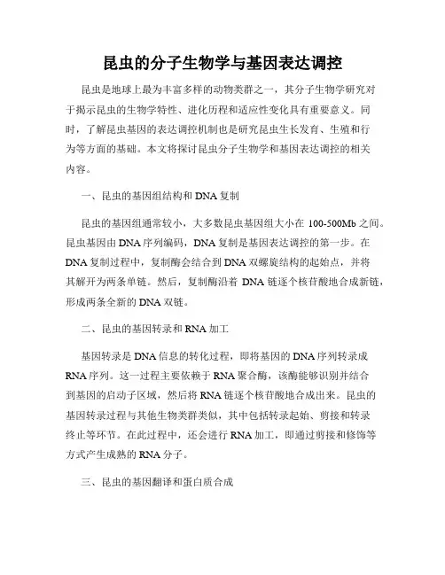 昆虫的分子生物学与基因表达调控
