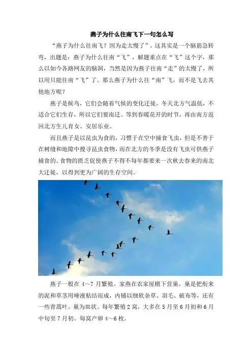 燕子为什么往南飞下一句怎么写