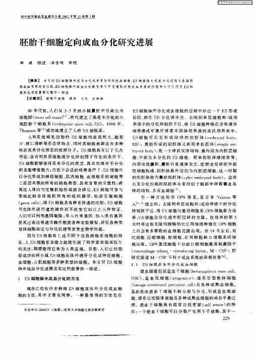 胚胎干细胞定向成血分化研究进展