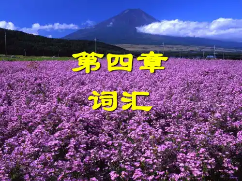 现代汉语 第四章   词汇
