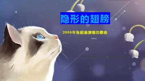 隐形的翅膀