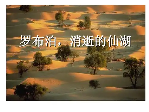 部编版八年级下册语文《罗布泊,消逝的仙湖》PPT电子课件说课复习教学