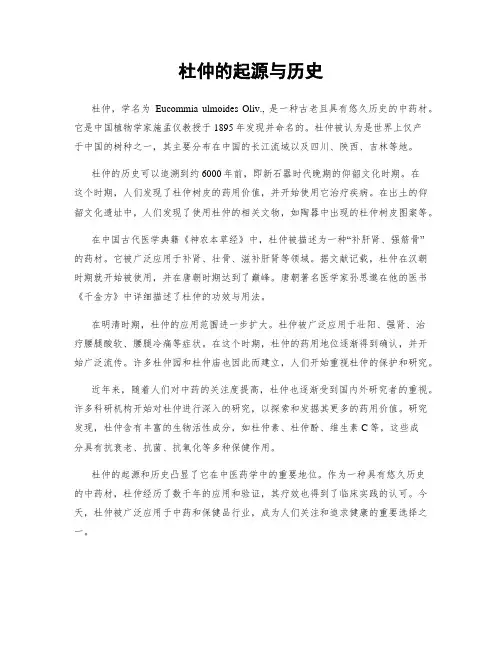 杜仲的起源与历史