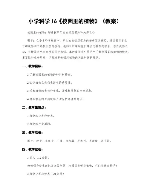 小学科学16《校园里的植物》(教案)