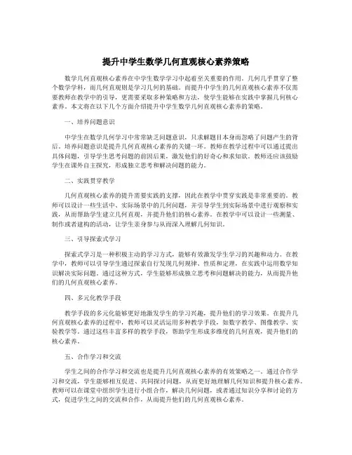 提升中学生数学几何直观核心素养策略