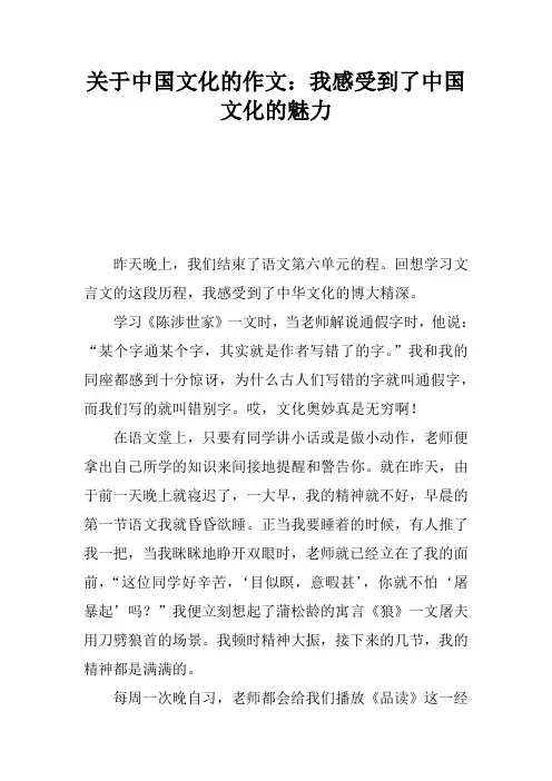 关于中国文化的作文：我感受到了中国文化的魅力
