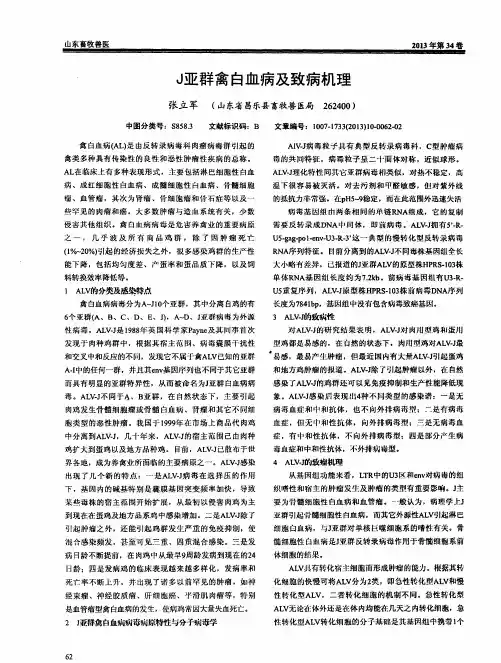 J亚群禽白血病及致病机理