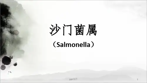 《沙门氏菌培训》PPT课件