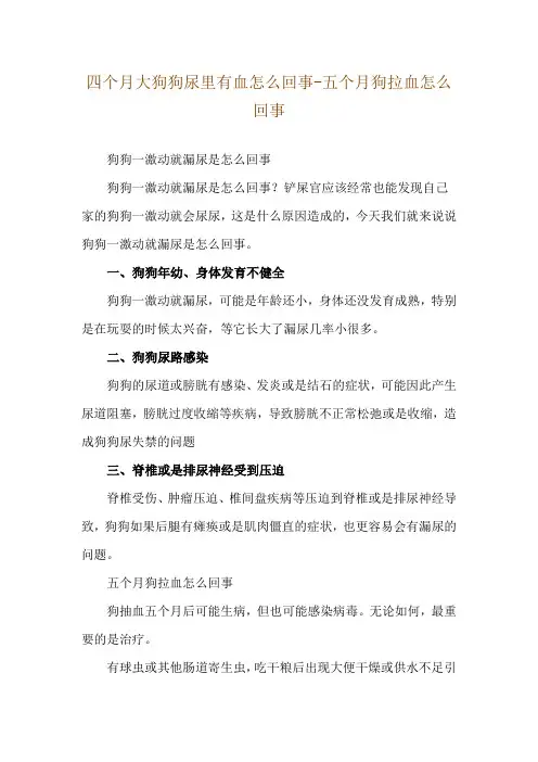 四个月大狗狗尿里有血怎么回事-五个月狗拉血怎么回事