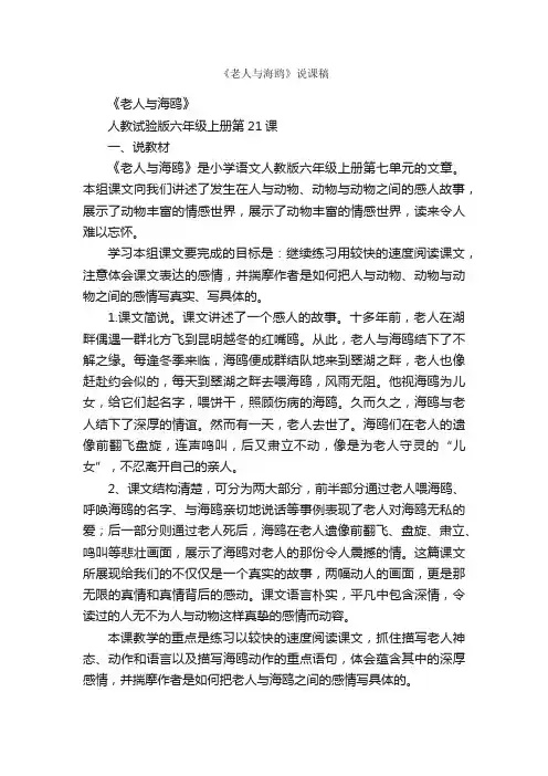 《老人与海鸥》说课稿