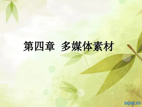 多媒体素材