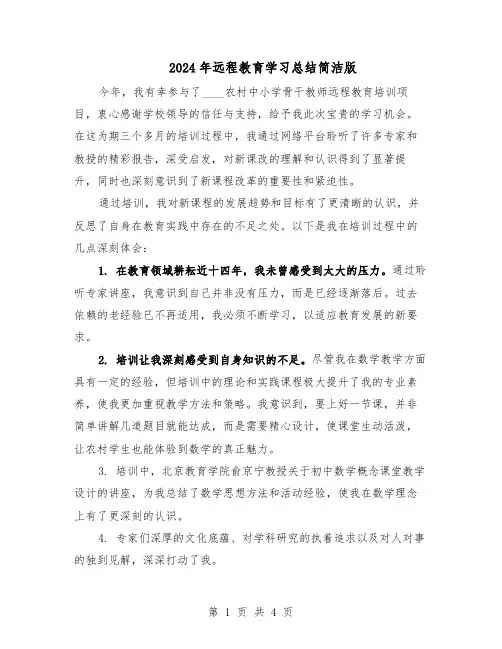 2024年远程教育学习总结简洁版（3篇）