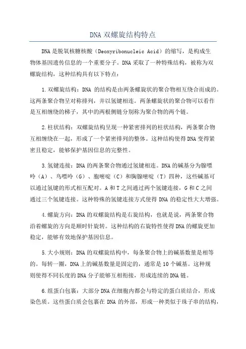 DNA双螺旋结构特点