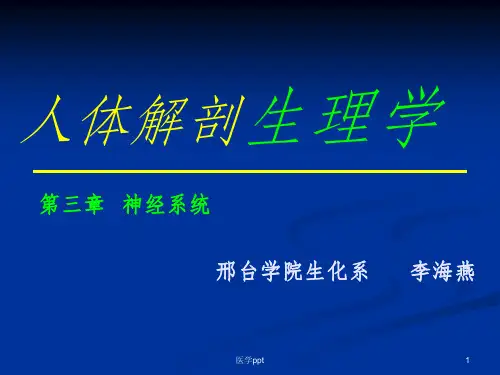 【医学PPT课件】神经系统全篇