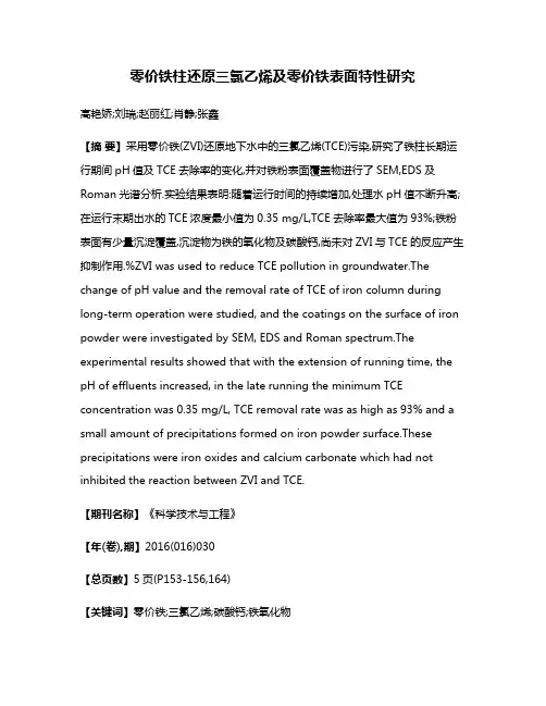 零价铁柱还原三氯乙烯及零价铁表面特性研究
