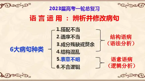 2024届高考复习：辨析与修改病句之5表意不明 课件18张