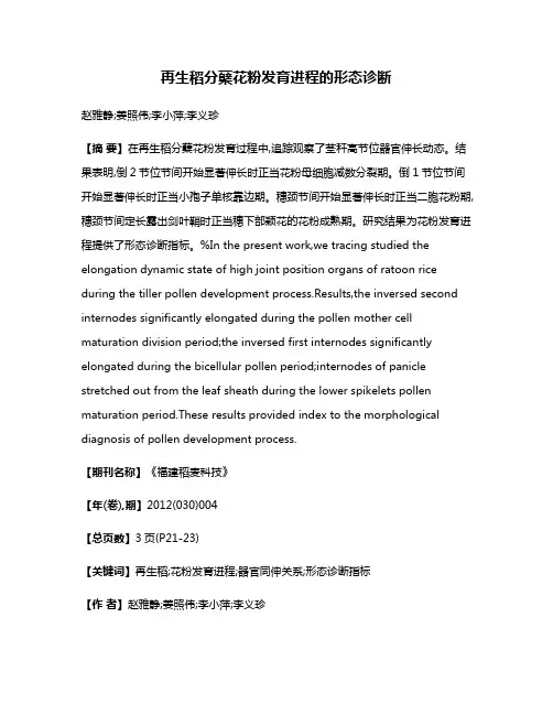 再生稻分蘖花粉发育进程的形态诊断