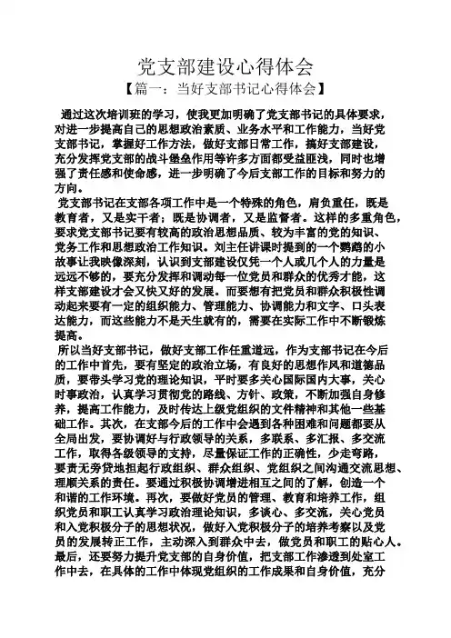 党支部建设心得体会