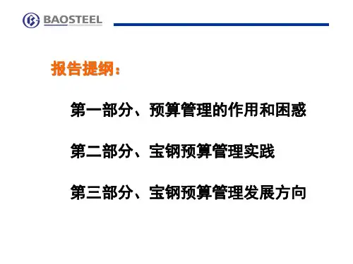 宝钢全面预算管理概述.pptx