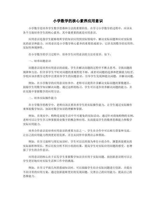 小学数学的核心素养应用意识