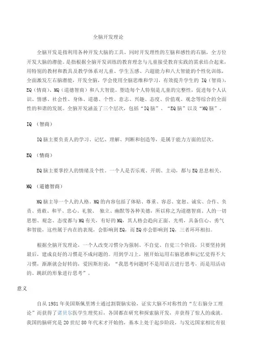 全脑开发理论