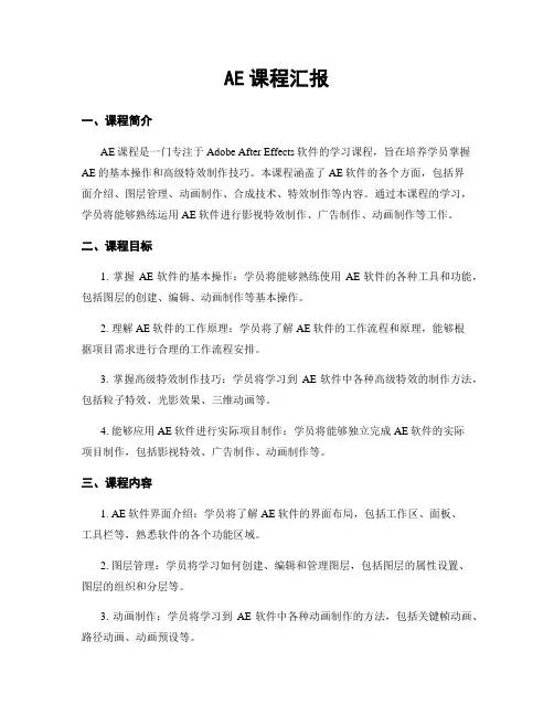AE课程汇报
