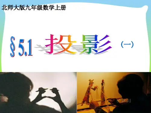 北师大版数学九年级上册《投影》公开课课件