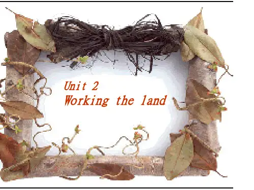 人教新课标必修4 Unit2 Working the land[全套课件]