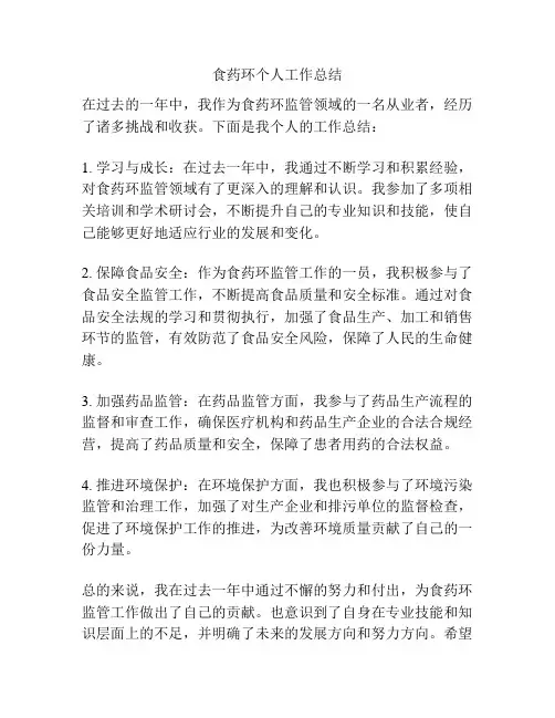 食药环个人工作总结