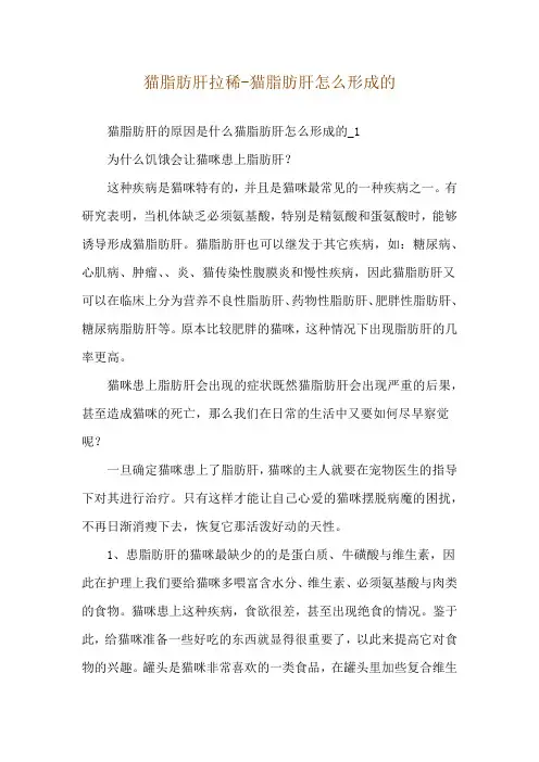 猫脂肪肝拉稀-猫脂肪肝怎么形成的