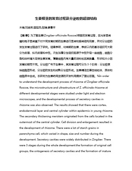 生姜根茎的发育过程及分泌腔的超微结构