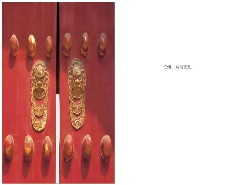清华大学企业并购与重组要点分析