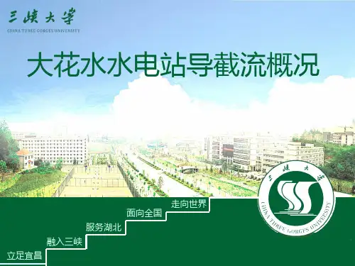 现代施工技术—大花水水电站导截流概况