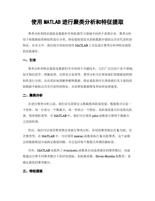 使用MATLAB进行聚类分析和特征提取