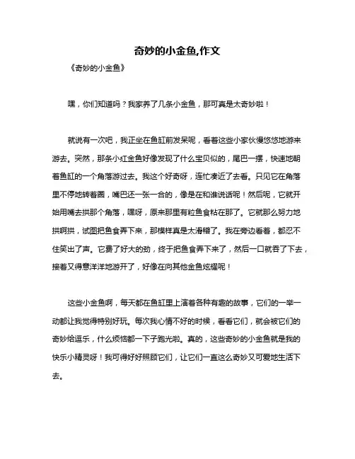奇妙的小金鱼,作文
