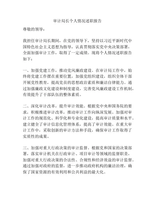 审计局长个人情况述职报告