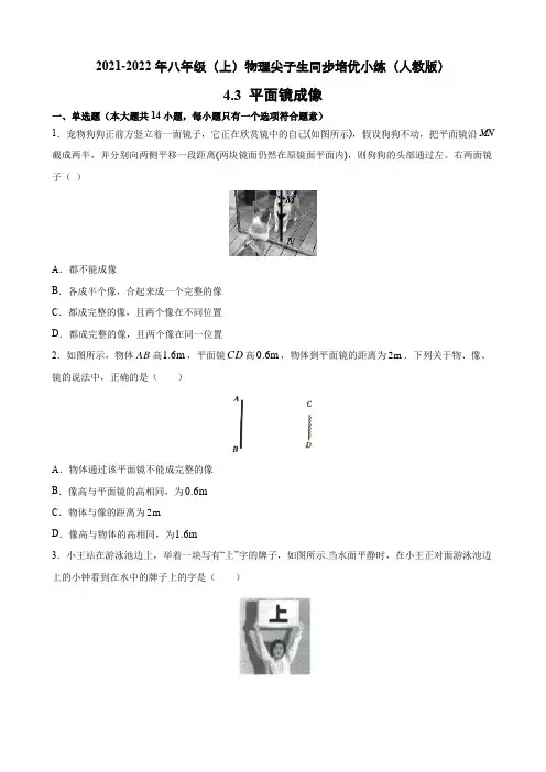 人教版物理八年级上册尖子生同步培优 4