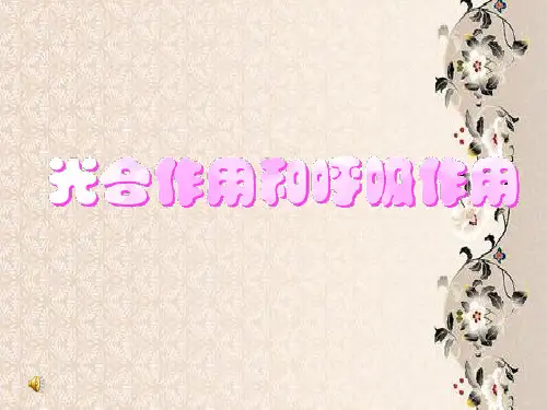 光合作用和呼吸作用PPT教学课件