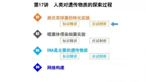 高考生物一轮复习第17讲人类对遗传物质的探索过程课件