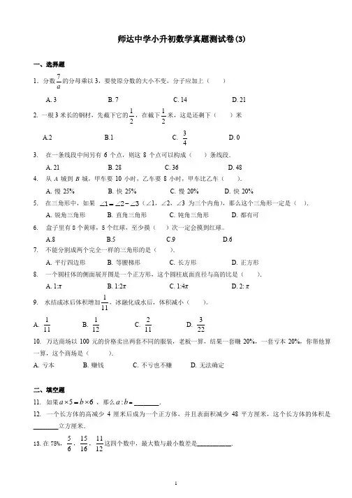 师达小升初数学真题测试卷3(带答案)