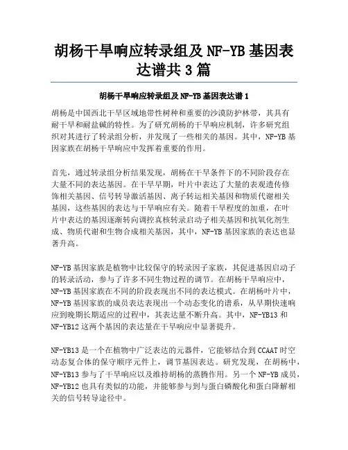 胡杨干旱响应转录组及NF-YB基因表达谱共3篇