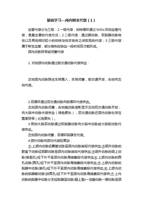 基础学习—颅内侧支代偿（1）