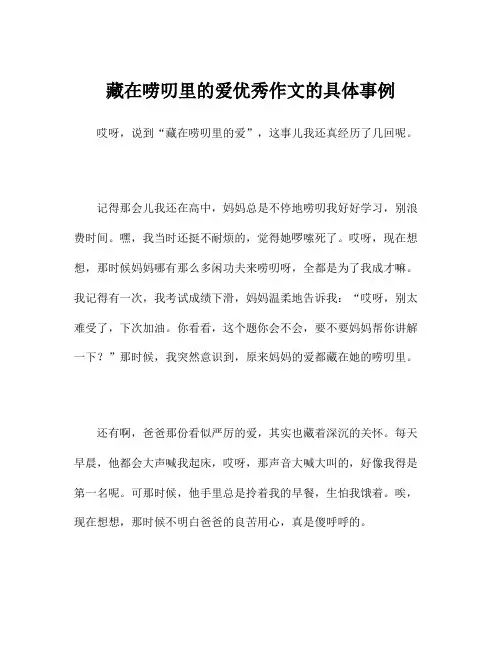 藏在唠叨里的爱优秀作文的具体事例